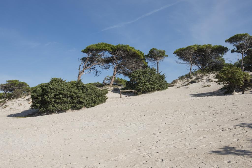 Oasis Alghero